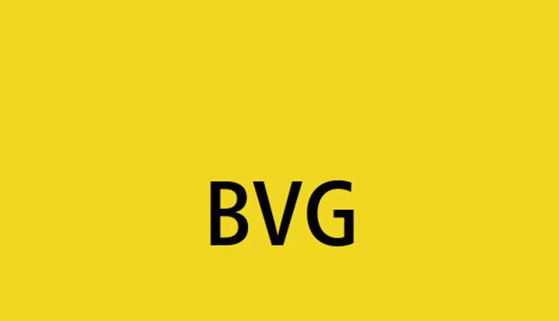 BVG Germany