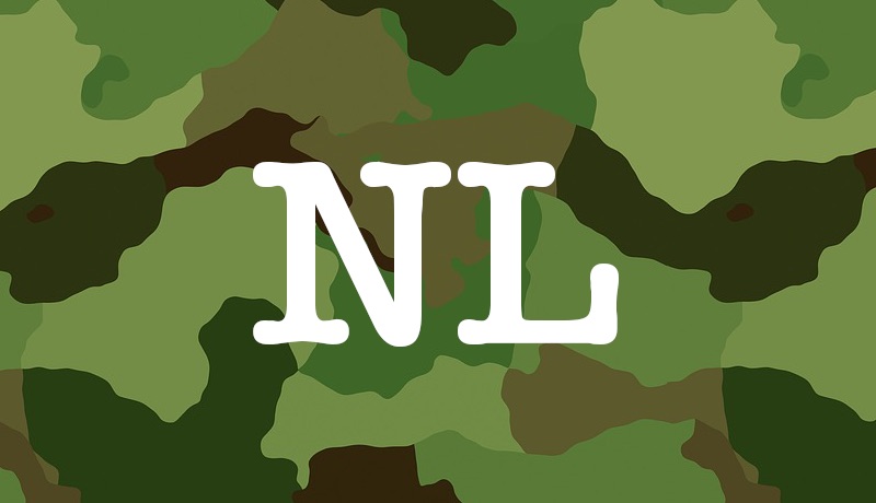 Military in The Netherlands